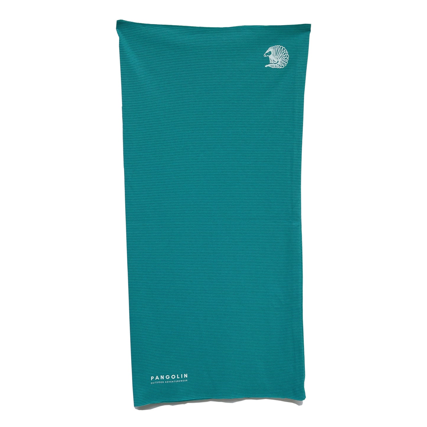 Dust Mask - Teal Blue