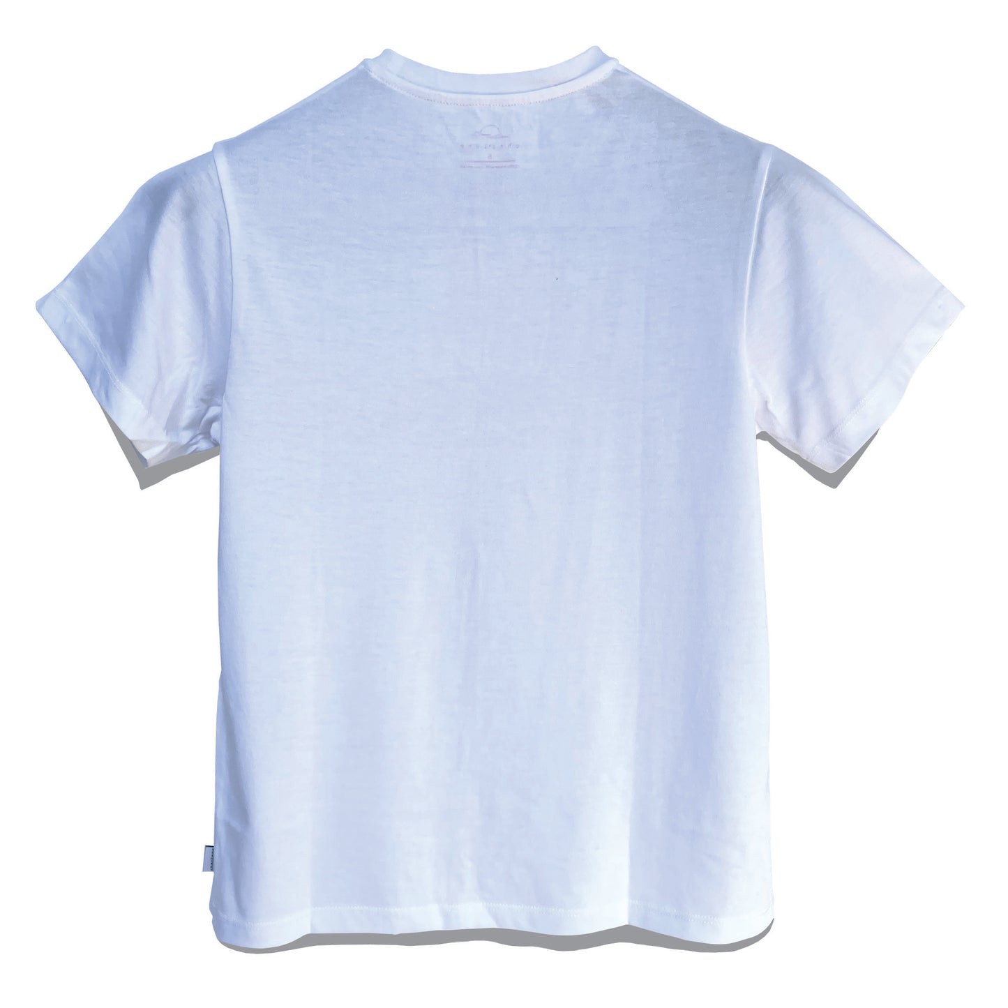 Short Sleeve, Crew Neck T - Frog